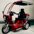 Handicapped Gas Tricycle
